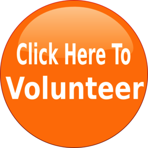 volunteer-button-orange